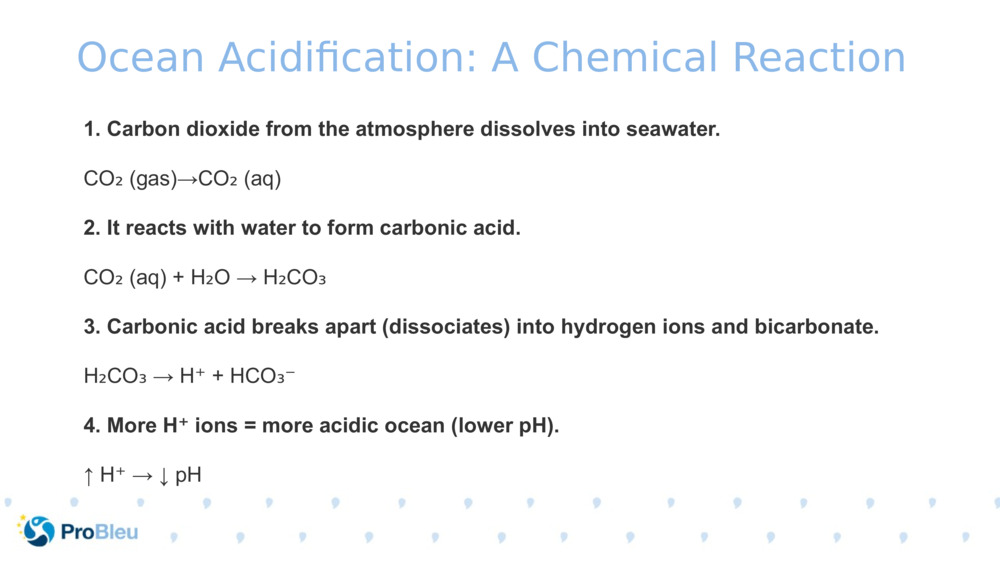 Ocean Acidification: A Chemical Reaction