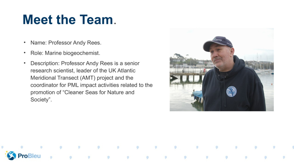 Name: Professor Andy Rees