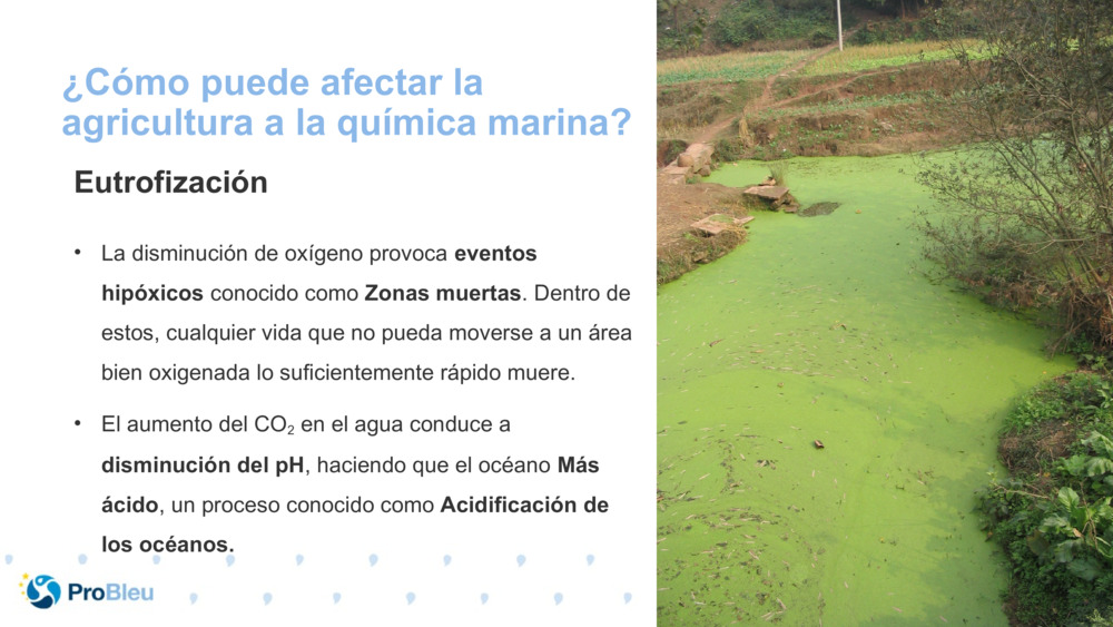¿Cómo puede afectar la agricultura a la química marina?