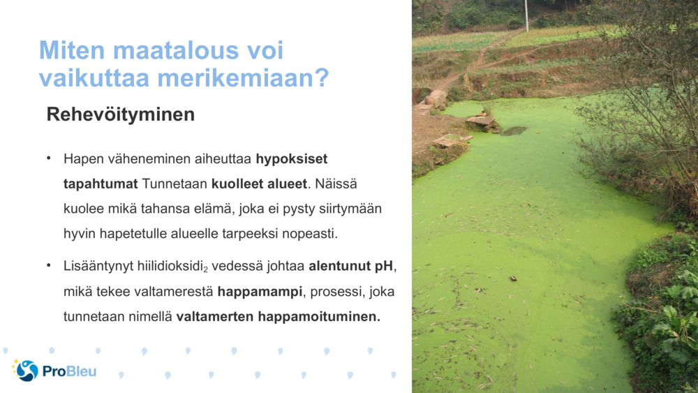 Miten maatalous voi vaikuttaa merikemiaan?