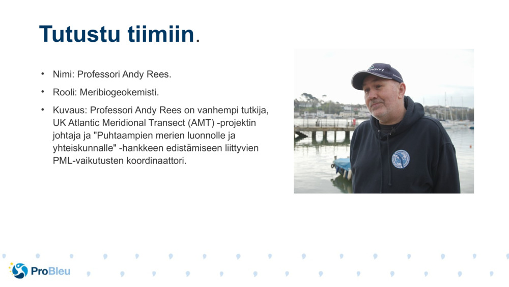 Nimi: Professori Andy Rees