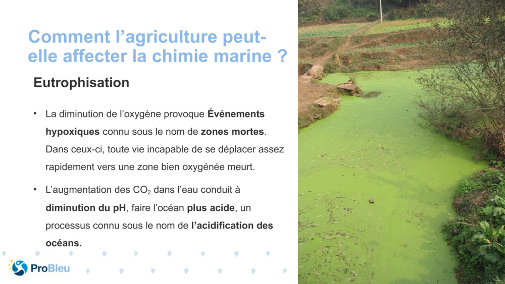 Comment l’agriculture peut-elle affecter la chimie marine ?