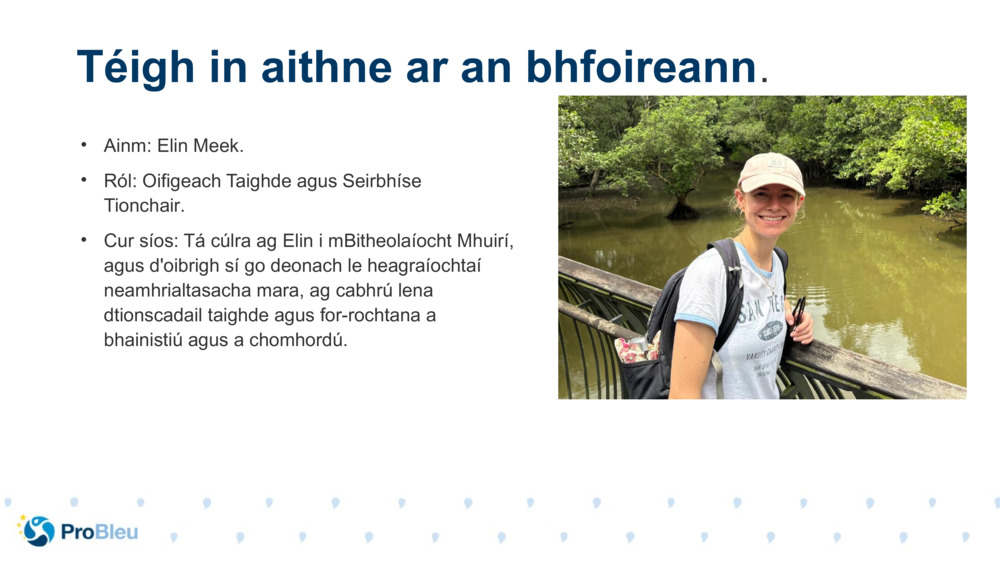 Ainm: Elin Meek