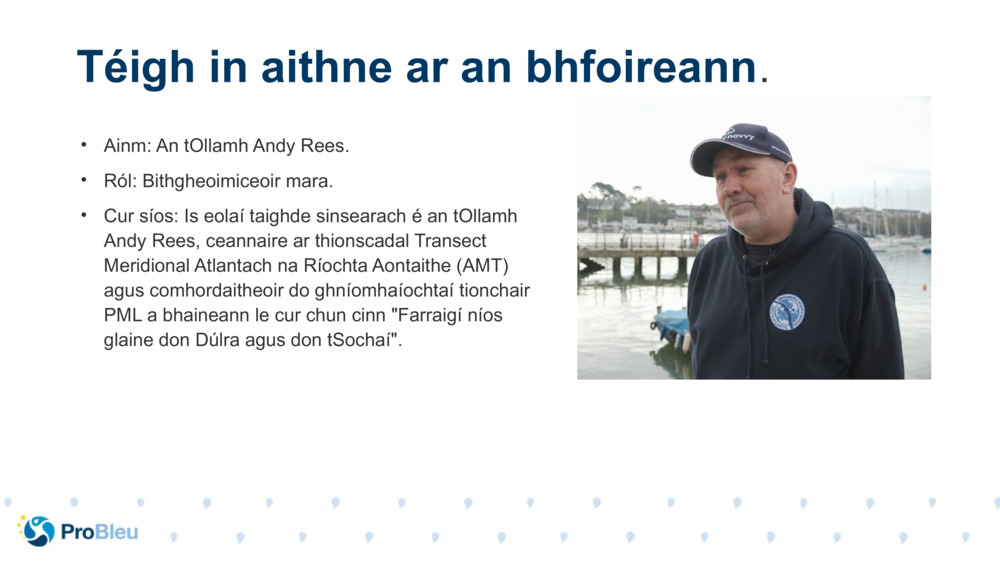 Ainm: An tOllamh Andy Rees