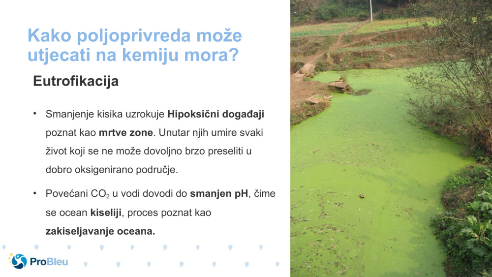 Kako poljoprivreda može utjecati na kemiju mora?