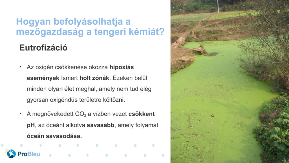 Hogyan befolyásolhatja a mezőgazdaság a tengeri kémiát?