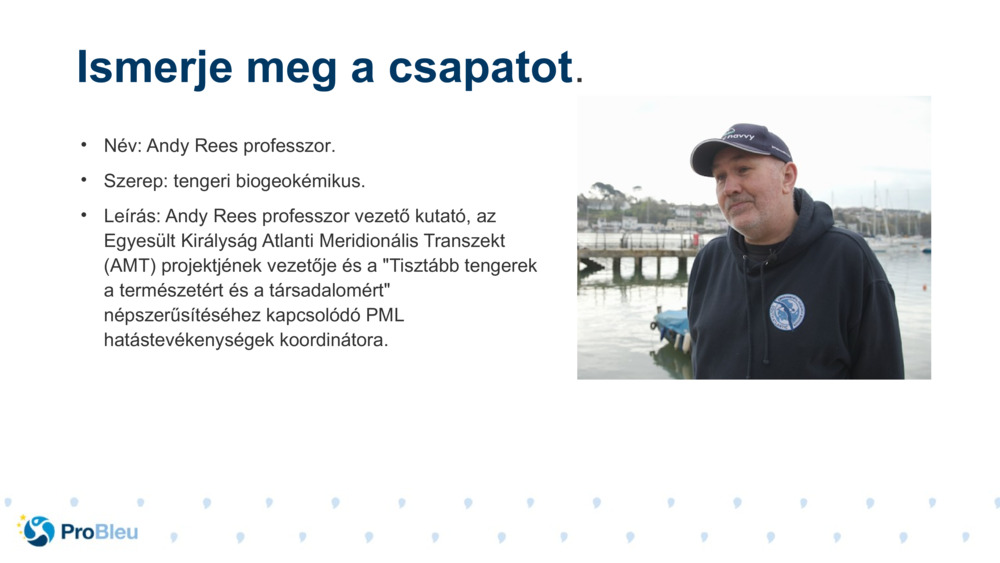 Név: Andy Rees professzor