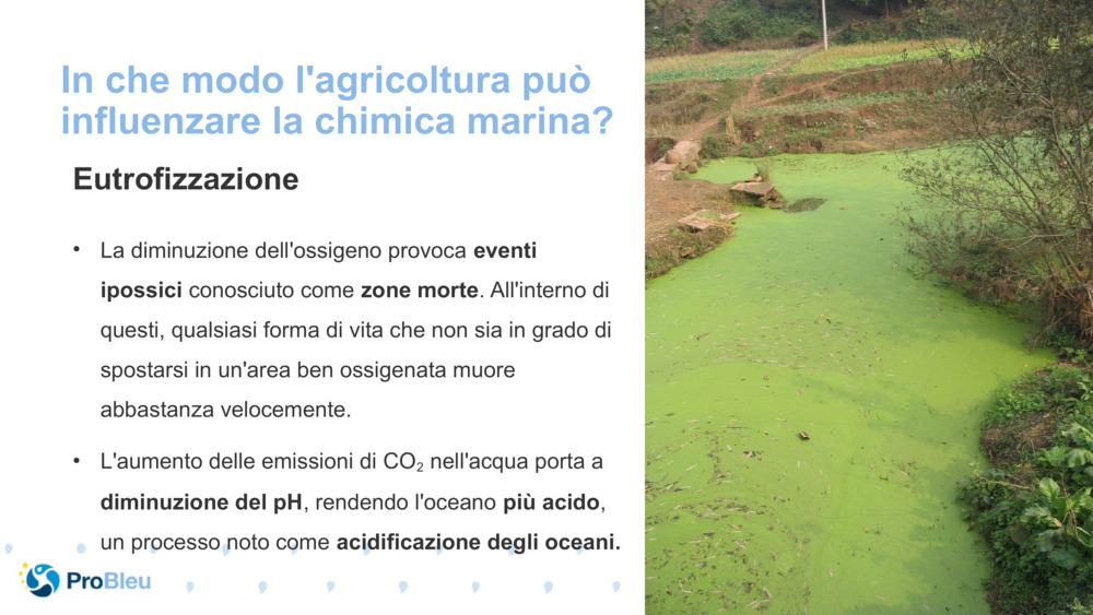 In che modo l'agricoltura può influenzare la chimica marina?