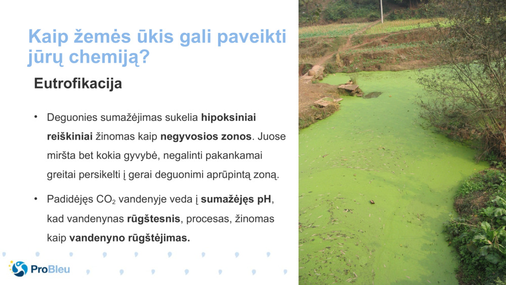 Kaip žemės ūkis gali paveikti jūrų chemiją?