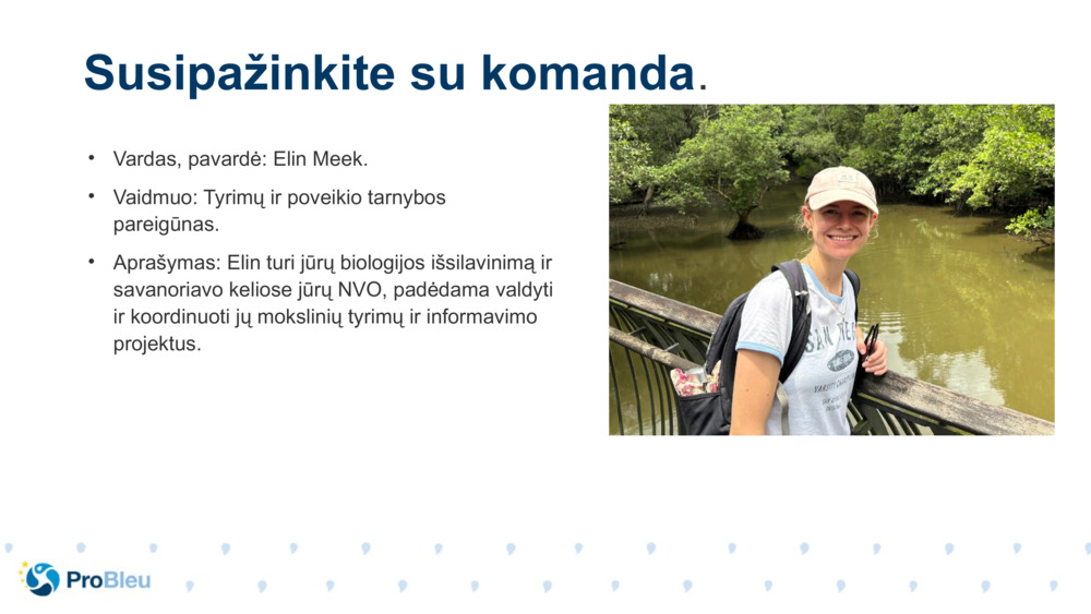 Vardas, pavardė: Elin Meek