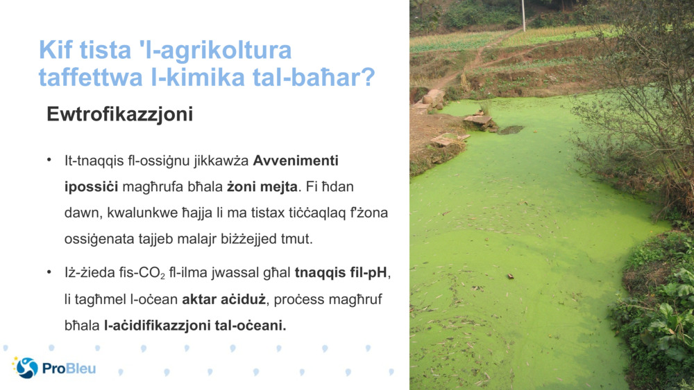 Kif tista 'l-agrikoltura taffettwa l-kimika tal-baħar?