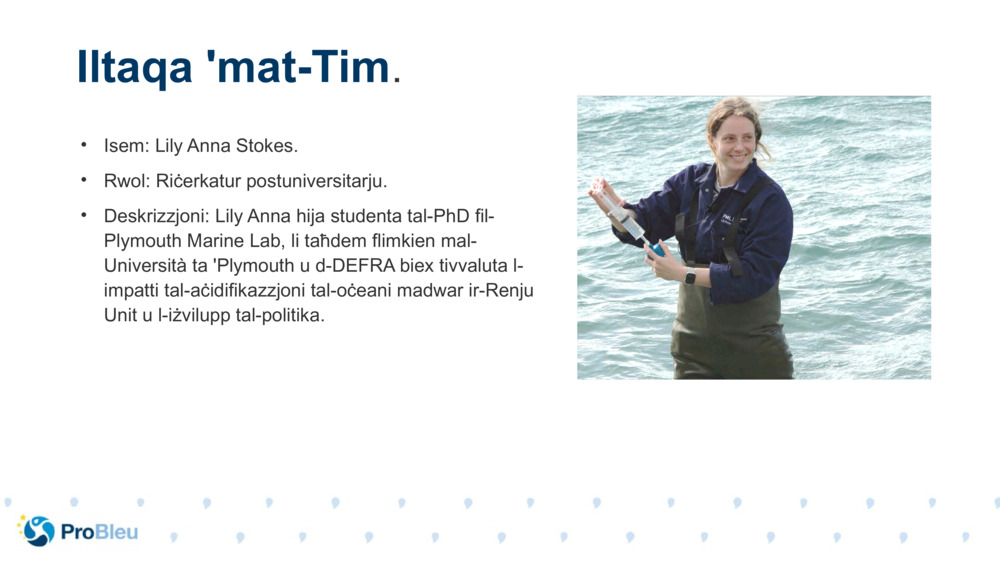 Isem: Lily Anna Stokes