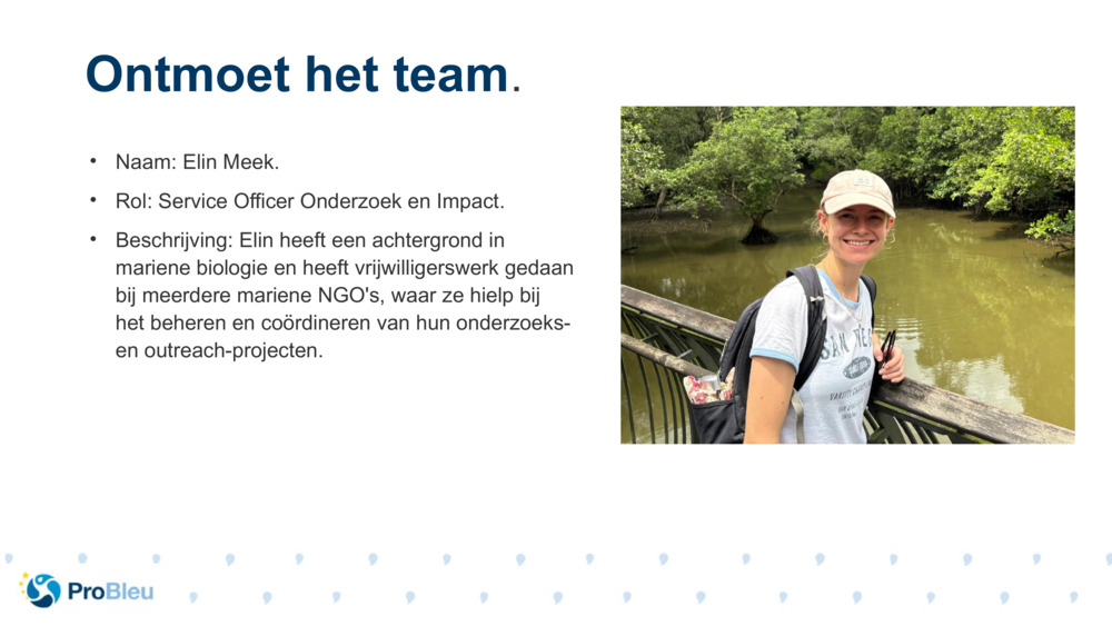 Naam: Elin Meek