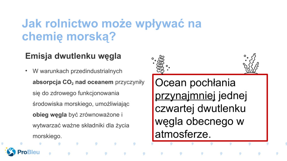 Jak rolnictwo może wpływać na chemię morską?