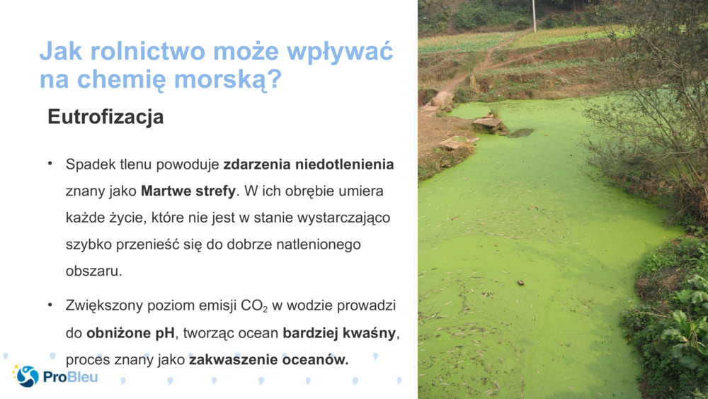 Jak rolnictwo może wpływać na chemię morską?