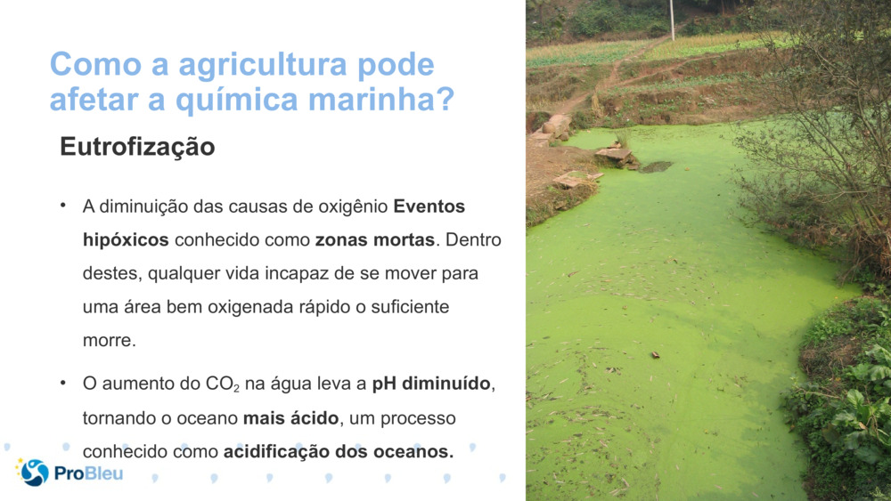 Como a agricultura pode afetar a química marinha?