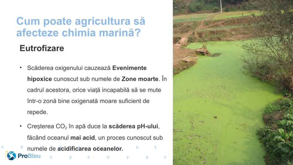 Cum poate agricultura să afecteze chimia marină?