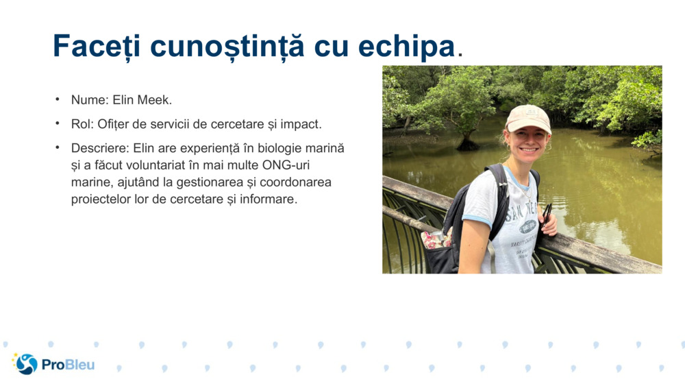 Nume: Elin Meek