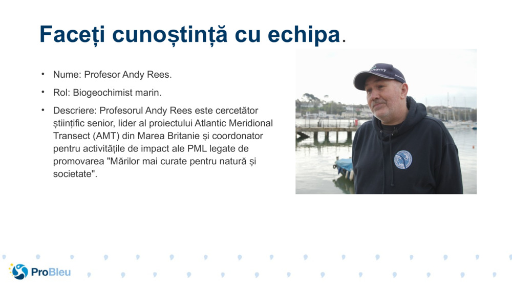 Nume: Profesor Andy Rees