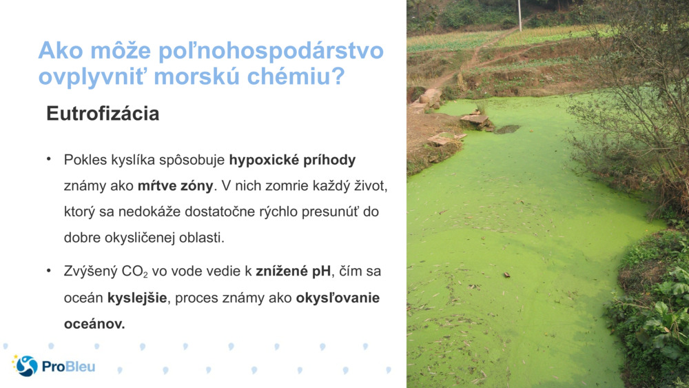 Ako môže poľnohospodárstvo ovplyvniť morskú chémiu?