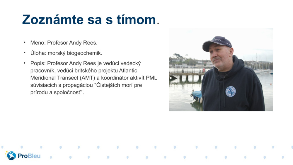Meno: Profesor Andy Rees