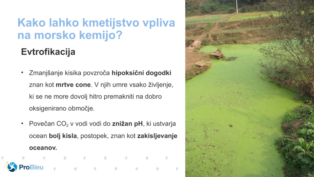 Kako lahko kmetijstvo vpliva na morsko kemijo?