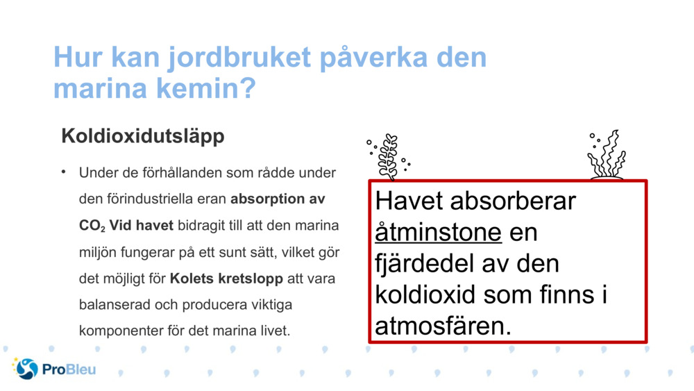 Hur kan jordbruket påverka den marina kemin?