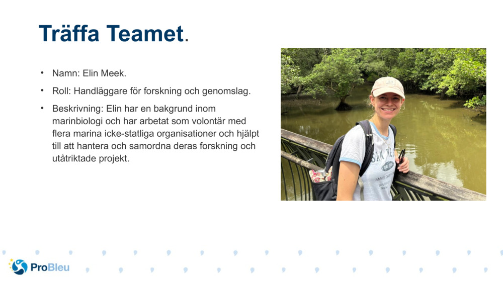 Namn: Elin Meek