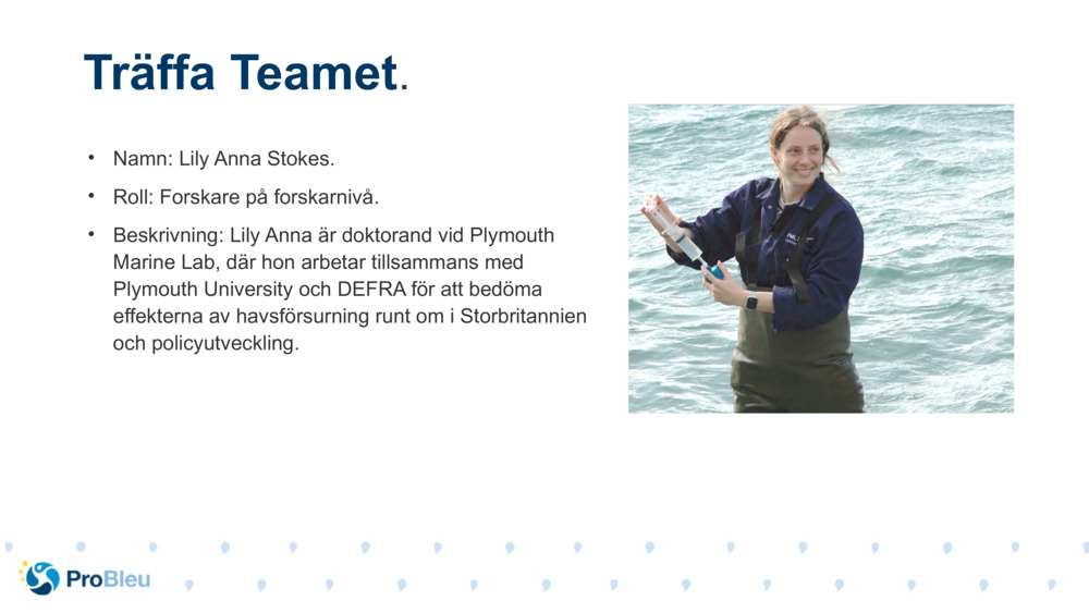 Namn: Lily Anna Stokes