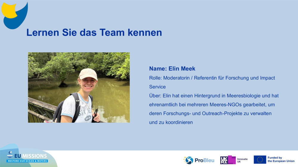 Lernen Sie das Team kennen