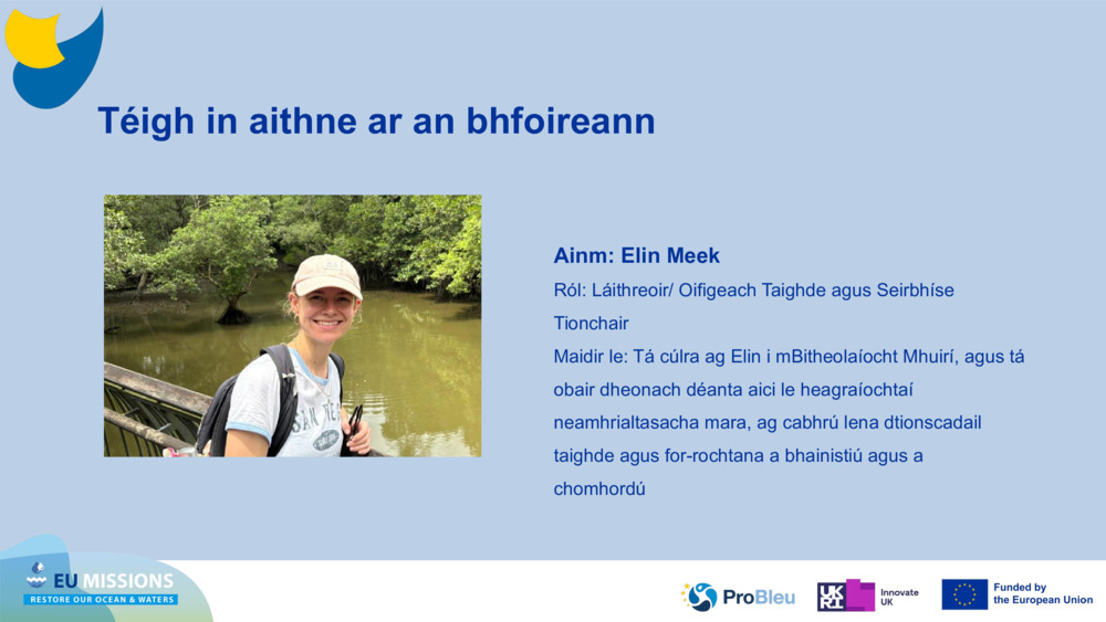 Téigh in aithne ar an bhfoireann