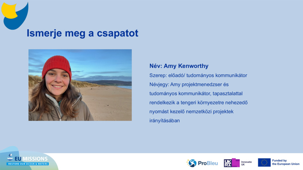 Ismerje meg a csapatot