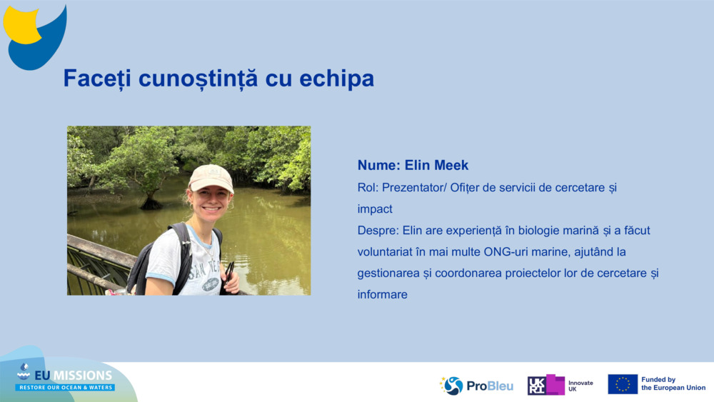 Faceți cunoștință cu echipa