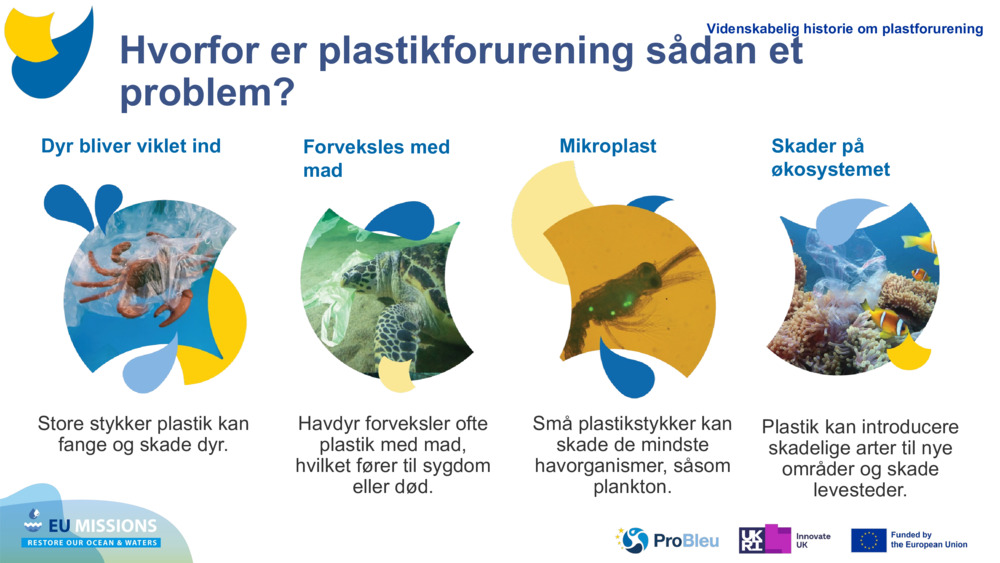 UPLOAD AF TEST AF PLAST