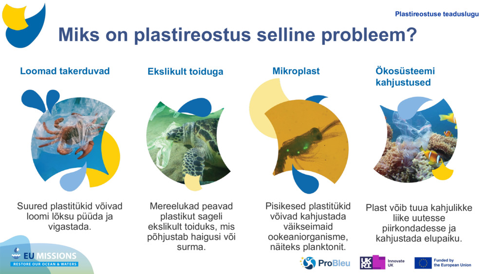 TESTI PLASTIDE ÜLESLAADIMINE