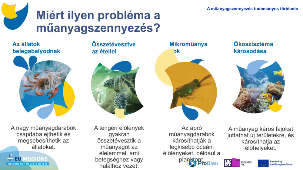 TESZT MŰANYAGOK FELTÖLTÉSE