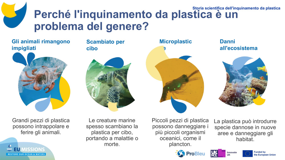 CARICAMENTO PLASTICHE DI PROVA