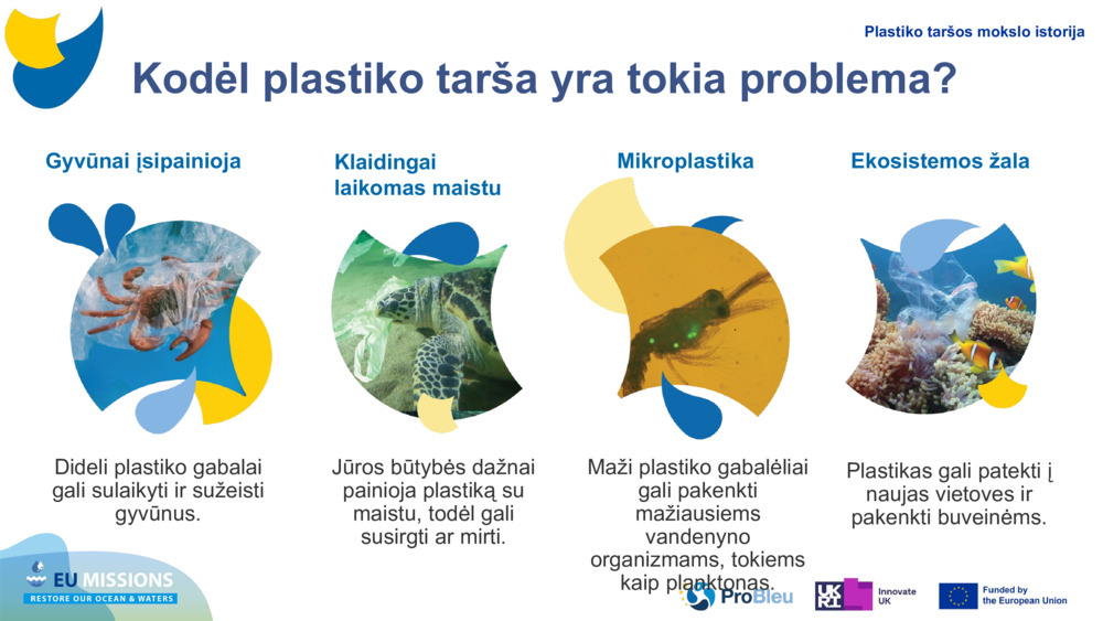 BANDOMŲJŲ PLASTIKŲ ĮKĖLIMAS