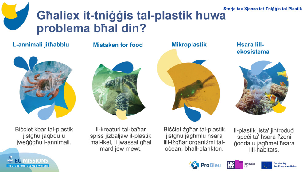 IT-TLUGĦ TAL-PLASTIK TAT-TEST
