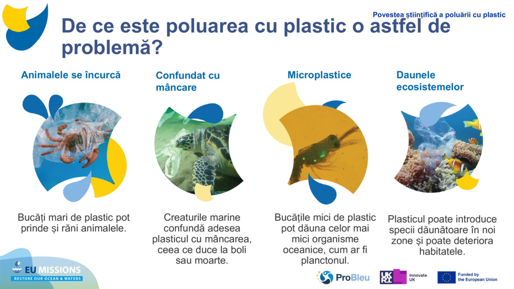 ÎNCĂRCAREA MATERIALELOR PLASTICE DE TESTARE