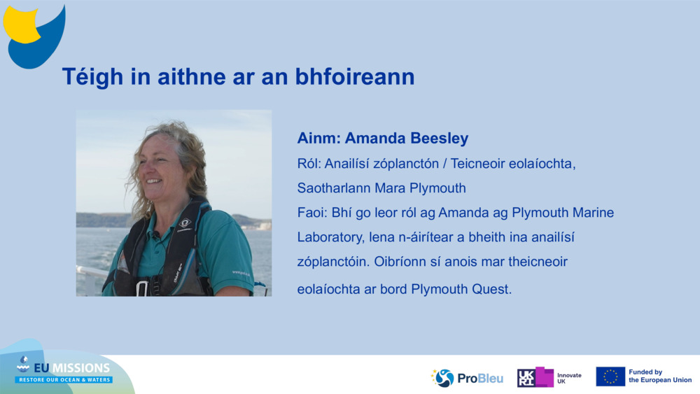 Téigh in aithne ar an bhfoireann