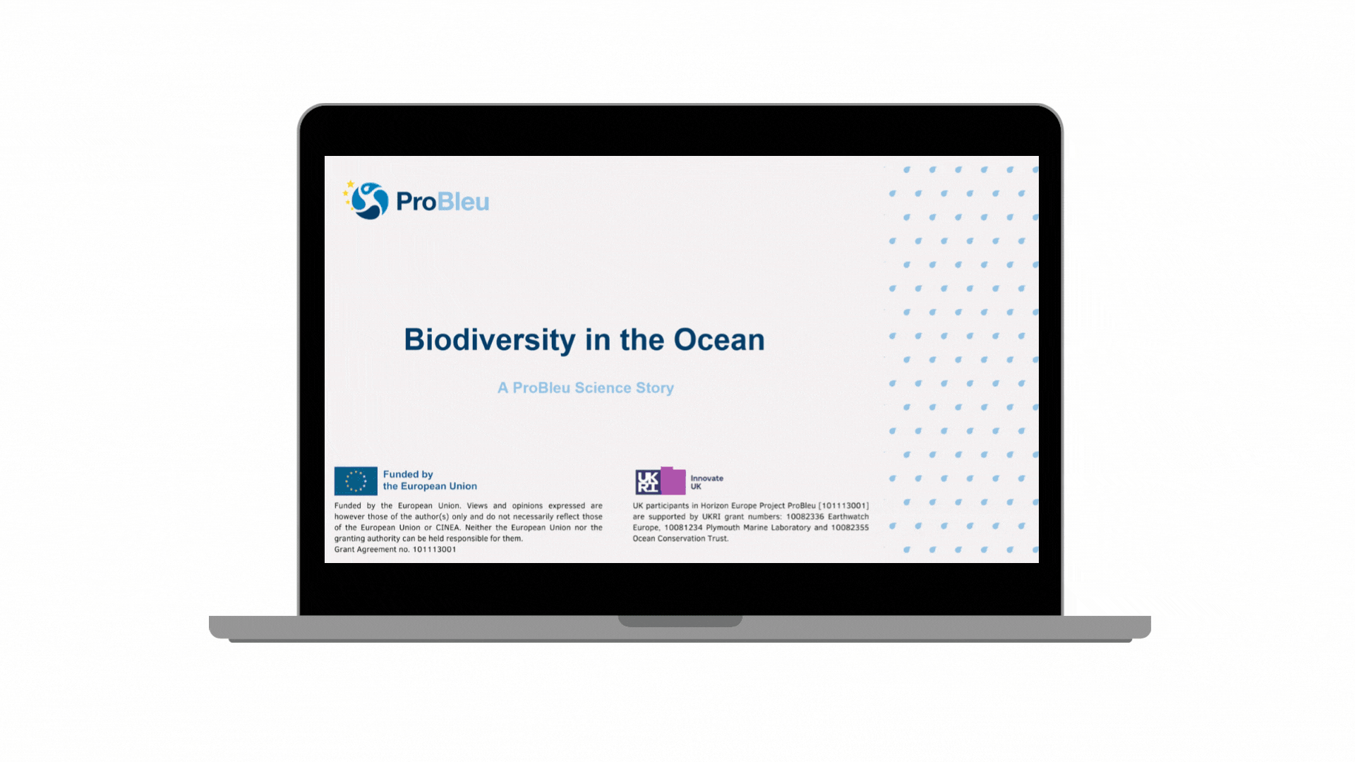 Introductory gif of ProBleu catalogue